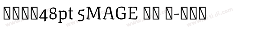 字体大小48pt 5MAGE 预览 简字体转换